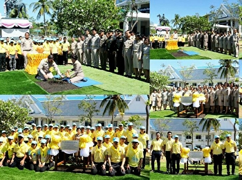 “สวนสุนันทา”  ศูนย์ฯสมุทรสงคราม
ร่วมใจปลูก “ต้นรวงผึ้ง”
ต้นไม้มงคลพระราชทาน
หน้าศาลากลางจังหวัดฯ