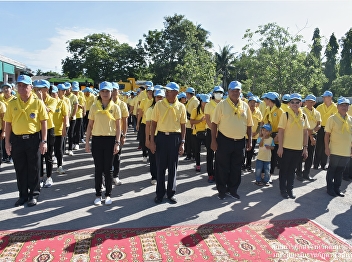 Volunteer Participated Activity 