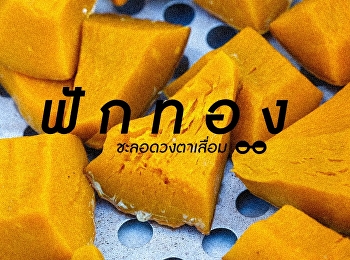 ฟักทอง ชะลอดวงตาเสื่อม