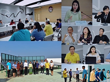 Solar Cell Roof of 