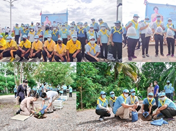 Volunteer Activity 