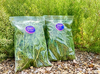 #Chakram leaf #Healthy vegetables #Good
good # Samut Songkhram City # Samut
Songkhram Provincial Education Center
#San Sunandha Rajabhat University