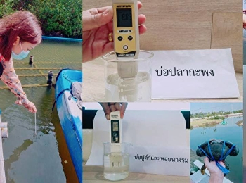 “สถาบันวิจัยฯภาคกลางตอนล่าง”
ลุยงานเก็บข้อมูลประกอบโครงการวิจัยแหล่งเรียนรู้เศรฐกิจพอเพียง
 การเลี้ยงสัตว์น้ำเศรฐกิจ
ได้แก่การตรวจวัดคุณภาพน้ำ ด้าน
PH,ความเค็มของน้ำ,และอุณหภูมิภายใต้น้ำ
เพื่อควบคุมสภาวะให้อยู่ในระดับที่เหมาะสม