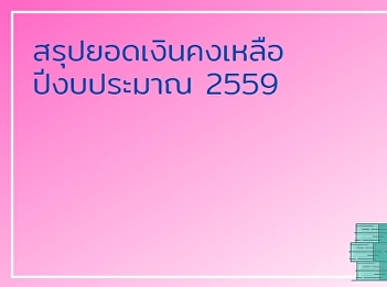 Summary of fiscal year balances 2559
