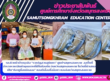 รก.หัวหน้าฝ่ายธุรกิจ “ราชภัฏสวนสุนันทา”
ศูนย์ฯสมุทรสงคราม
ลงพื้นที่สำรวจราคาสินค้าคุณภาพที่มีในท้องถิ่น
จังหวัดสมุทรสงคราม
ในวันนี้นำเสนอเป็น“ปลาทูนึ่งแม่กลอง”
ของดีเลื่องชื่อลือชา
ของจังหวัดสมุทรสงคราม