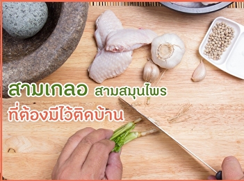 สามเกลอ สามสมุนไพรที่ต้องมีไว้ติดบ้าน