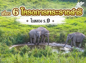 สานต่องานที่พ่อให้ กับ 8
โครงการอาชีพพระราชทาน
ตามแนวพระราชดำริในหลวง รัชกาลที่ 9