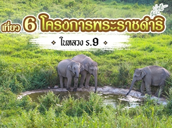 สานต่องานที่พ่อให้ กับ 8
โครงการอาชีพพระราชทาน
ตามแนวพระราชดำริในหลวง รัชกาลที่ 9