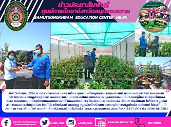 On March 5, 2021, Ms. Suphanrai Sanguan
Sai, Building and Facility Supervision
Songkhram Province Education Center Suan
Sunandha Rajabhat University
Distribution of lemon varieties Dam
Damnoen Saduak Special features It is a
popular variety in the market.