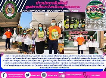 บุคลากรฝ่ายธุรกิจฯ
ลงพื้นที่สำรวจราคาสินค้าคุณภาพที่มีในท้องถิ่น
จังหวัดสมุทรสงคราม ในวันนี้ขอนำเสนอ
วุ้นมะพร้าวรูปเป็ด,น้ำตะไคร้หอมน้ำตาลมะพร้าวสดแท้
100%