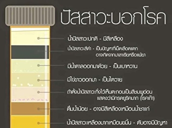 ปัสสาวะบอกโรค