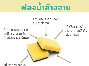 ฟองน้ำล้างจาน