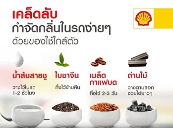 กำจัดกลิ่นในรถ