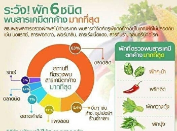 ผัก 6 ชนิด