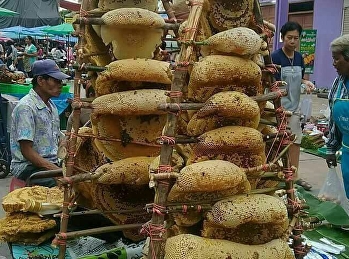 น้ำผึ้งแท้ๆ