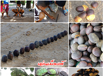 วิถีบ้านเรา : เล่นเม็ดแต้