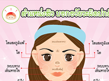 ตำแหน่งสิวบอกอาการอวัยวะผิดปกติ