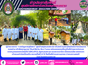 Director of 
