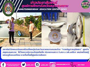 สถาบันวิจัยและพัฒนาท้องถิ่นกลุ่มจังหวัดภาคกลางตอนล่าง
“ราชภัฏสวนสุนันทา” ศูนย์ฯสมุทรสงคราม
ได้วิเคราะห์การเจริญเติบโต ปลากะพงขาว
Lates calcarifer
แหล่งเรียนรู้เศรษฐกิจพอเพียง
ภายในพื้นที่ศูนย์การศึกษา