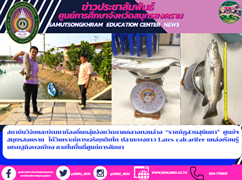 Local Research and Development
Institutes, Lower Central Provinces
