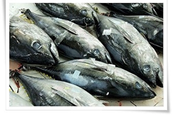 กินปลาลดความเสี่ยงหูตึง