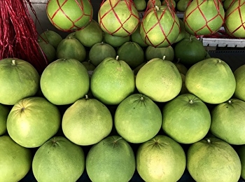 ส้มโอ ประโยชน์และสรรพคุณของส้มโอ