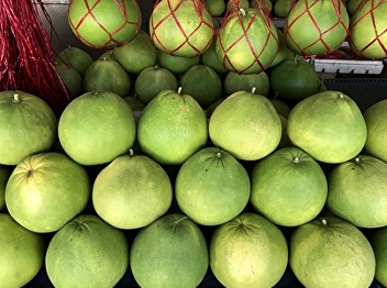 ส้มโอ ประโยชน์และสรรพคุณของส้มโอ