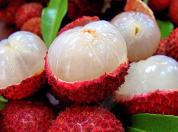 ลิ้นจี่กับสรรพคุณเพื่อสุขภาพ