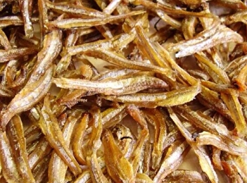 เมนูแนะนำ 