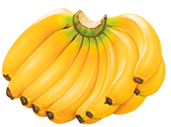 ประโยชน์ของกล้วยหอม
ไอเดียการกินการใช้เพื่อสุขภาพ
และข้อควรระวัง