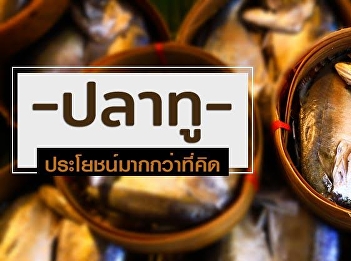 ปลาทูประโยชนม ์ ากมาย ช่วยลดไขมันร้าย
ลดความเสี่ยงโรคหัวใจก ็ได้ด้วย