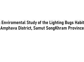 An Enviromental Study of the Lighting
Bugs Habitat, Amphava District, Samut
SongKhram Province