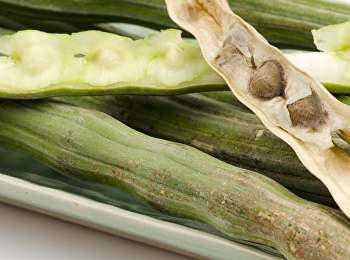 ใบมะรุม สรรพคุณสุดเด็ด
จัดว่าเป็นซูเปอร์ฟู้ด