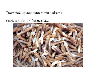“ หอยหลอด” สุดยอดหอยสดจากทะเลแม่กลอง ”