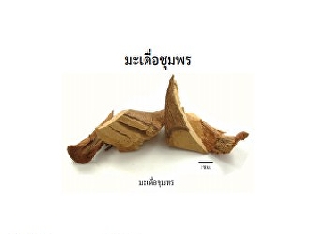 งานวิจัยในจ.สมุทรสงคราม