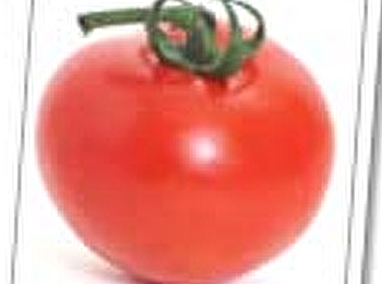 มะเขือเทศกับนมสดสูตรสวยจากธรรมชาติ