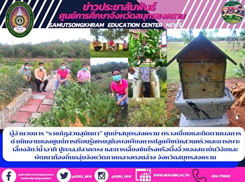ผู้อำนวยการ “ราชภัฏสวนสุนันทา”
ศูนย์ฯสมุทรสงคราม
ตรวจเยี่ยมและติดตามผลการดำเนินงานของศูนย์การเรียนรู้เศรษฐกิจพอเพียงการปลูกพืชผักสวนครัวและการเพาะเลี้ยงสัตว์น้ำอาทิ
ปูทะเล,ปลากะพง
และการเลี้ยงชันโรงหรือผึ้งจิ๋วของสถาบันวิจัยและพัฒนาท้องถิ่นกลุ่มจังหวัดภาค
