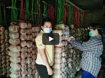 ประมวลภาพกิจกรรม ฝ่ายอาคารและสถานที่
ศูนย์การศึกษาจังหวัดสมุทรสงคราม
มหาวิทยาลัยราชภัฏสวนสุนันทา