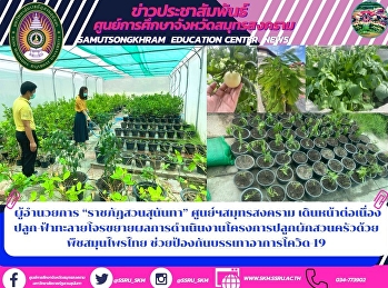 ผู้อำนวยการ “ราชภัฏสวนสุนันทา”
ศูนย์ฯสมุทรสงคราม เดินหน้าต่อเนื่อง
ปลูก-ฟ้าทะลายโจรขยายผลการดำเนินงานโครงการปลูกผักสวนครัวด้วยพืชสมุนไพรไทย
ช่วยป้องกันบรรเทาอาการโควิด-19