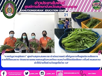 “ราชภัฏสวนสุนันทา” ศูนย์ฯสมุทรสงคราม
นำผักสวนครัวที่ปลูกภายในศูนย์การศึกษาฯ
ภายใต้โครงการ
พัฒนาตามแนวเศรษฐกิจพอเพียง
แจกจ่ายให้แก่นักศึกษา
เพื่อช่วยลดภาระค่าใช้จ่ายในช่วงวิกฤตโควิด
๑๙