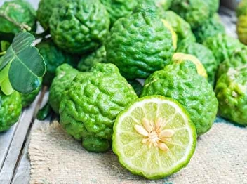 Kaffir lime