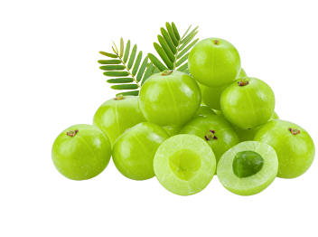 Gooseberry