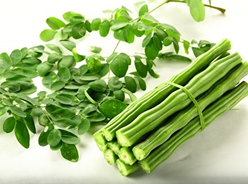 Moringa
