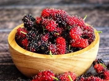 Mulberry