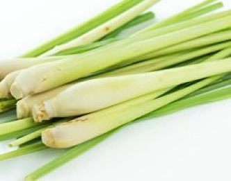 lemon grass