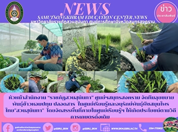 หัวหน้าสำนักงาน “ราชภัฏสวนสุนันทา”
ศูนย์ฯสมุทรสงคราม
จัดทีมลุยขยายพันธุ์ข้าวหอมปทุม ปลอดสาร
ในศูนย์เรียนรู้และอนุรักษ์พันธุ์พืชสมุนไพรไทย