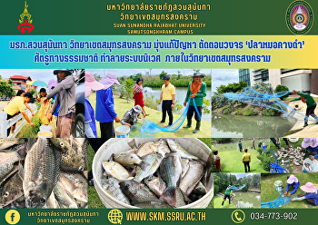 มรภ.สวนสุนันทา วิทยาเขตสมุทรสงคราม
มุ่งแก้ปัญหา ตัดตอนวงจร ‘ปลาหมอคางดำ’
ศัตรูทางธรรมชาติ ทำลายระบบนิเวศ
ภายในวิทยาเขตสมุทรสงคราม