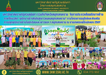 Suan Sunandha Rajabhat University
together with Samut Songkhram Province
Organized a contest for Bang Chang
chilli plants under the concept of “Bang
Chang chilli returning to the youth of
Samut Songkhram” according to the
project to preserve and promote