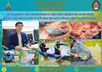 Suan Sunandha Rajabhat University Samut
Songkhram Campus Engage in the breeding
of tilapia and ruby ​​fish in order to
drive the work to generate income.
Developed into sales Ready to enter the
competitive market in the future