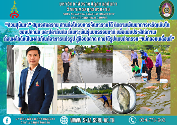 “Suan Sunandha” Samut Songkhram
continues the income generating project.
Follow the development and growth of
tilapia and ruby ​​fish that are bred
naturally. to increase efficiency before
pushing processed food products to the
market through activity for